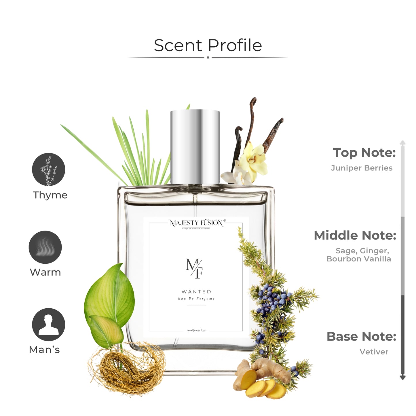 Most wanted Inspired 30ml perfume